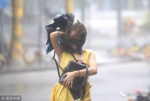 山竹爆料深圳视频最新版,深圳视频版揭秘惊人内幕  第2张